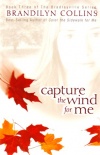 Capture the Wind for Me, Bradleyville Series